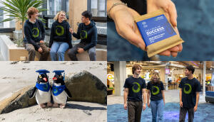 86d1xpgwj merch intranet image