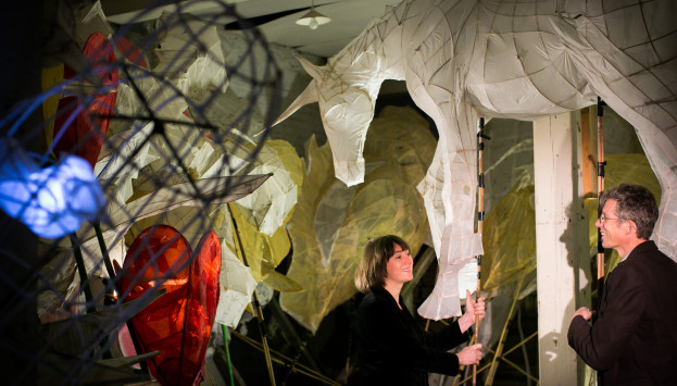 ART grad profile MidwinterCarnival 041