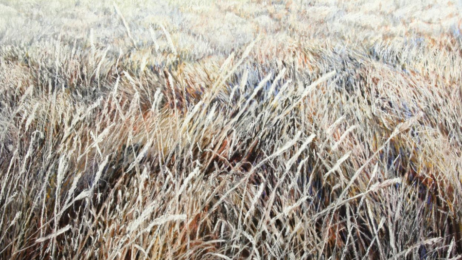 Hannah Joynts Oturehua IMG 9789