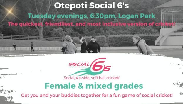 Cricket Social 6s