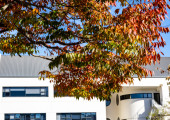 Dunedin Campus Autumn 2024 3
