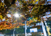 Dunedin Campus Autumn 2024 4
