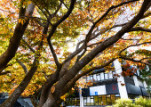 Dunedin Campus Autumn 2024 5
