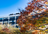 Dunedin Campus Autumn 2024 6