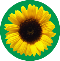 HDS SYMBOL CIRCULAR RGB