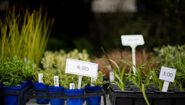 NAT event PlantSale2015 012