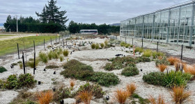 OP Talks Image Dry Garden v3