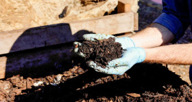 Popopo Wormporium Sustainability 210422 007