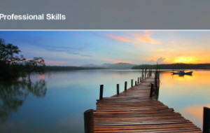 Professional Skills 1246x710Stress Management FitMaxWzM1MiwyNjRd v2