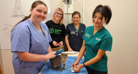 T Cat microchipping clinic 2