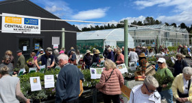 T Central Plant Sale Oct 2025