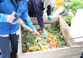 compost