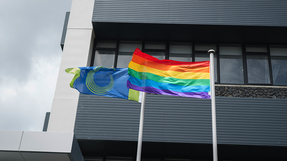 Rainbow tick banner